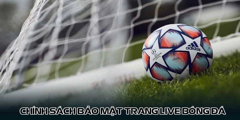 Chính sách dịch vụ tại trực tiếp bóng đá Lương Sơn TV